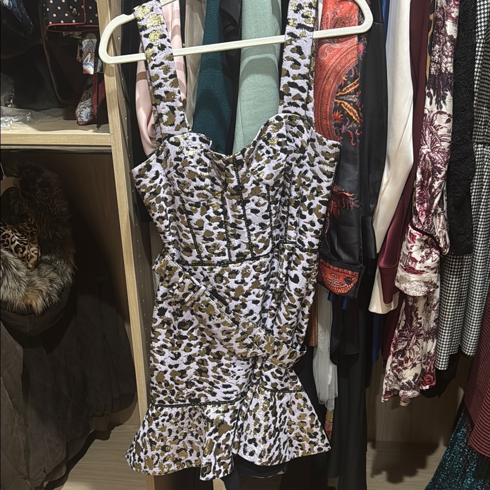 Jonathan Simkhai Leopard Print Mini Dress